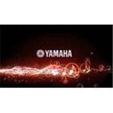 Yamaha熱門樂器粉絲團『分享文章歡樂送吉他等大獎 - 第二波』活動公佈得獎名單