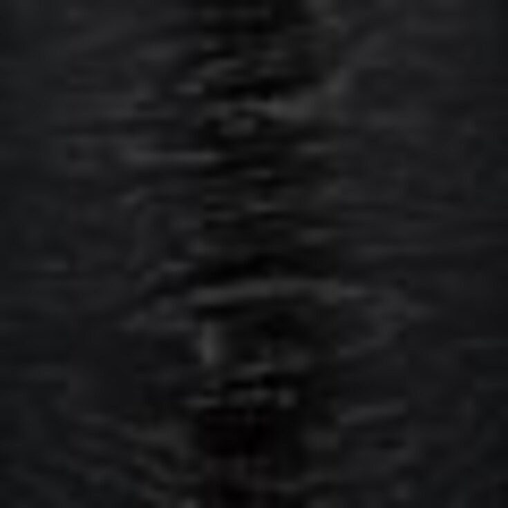 LNS1455 BKW:Black Wood