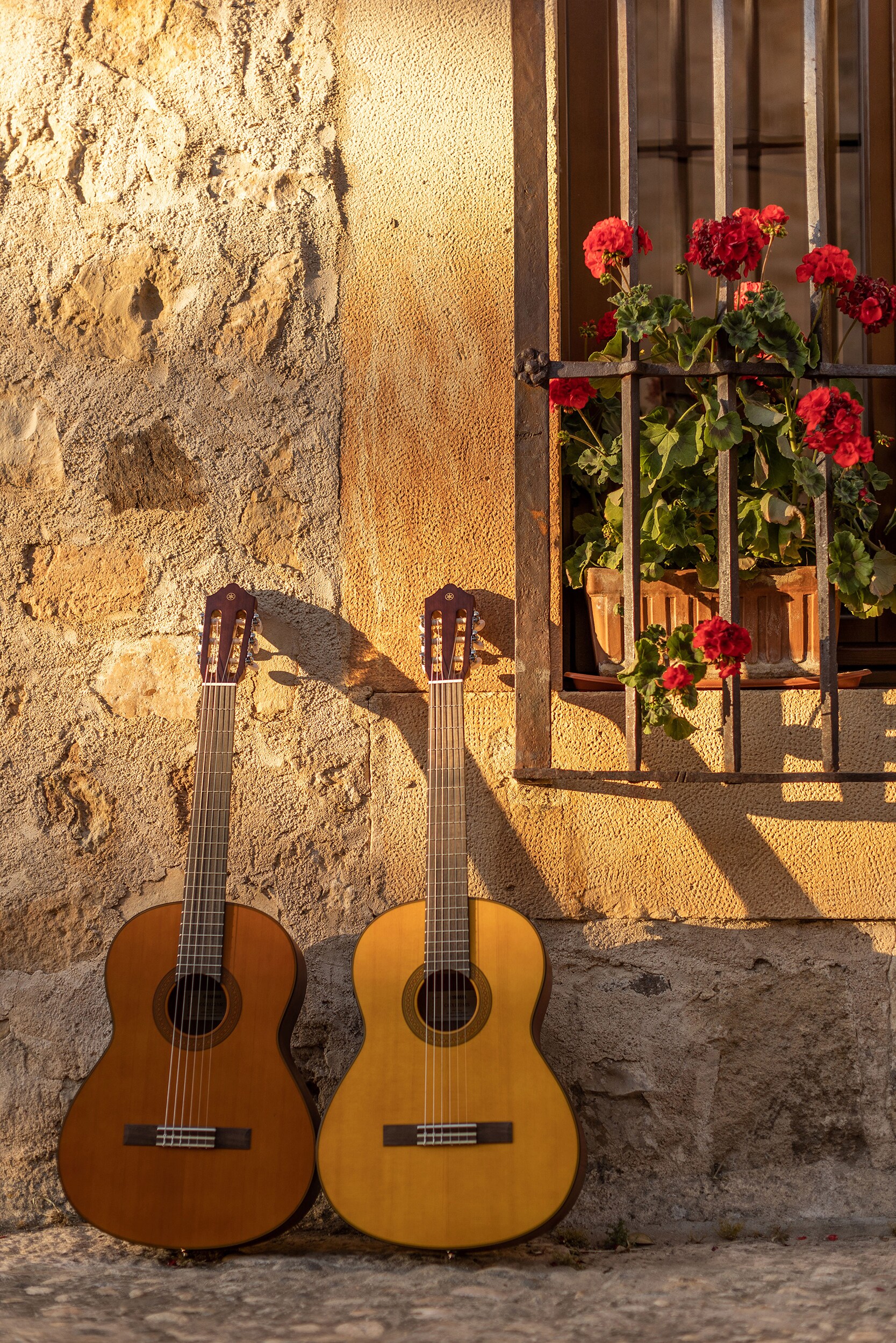 CG series galley image