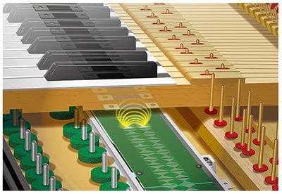 2. 發音感應器系統(Articulation Sensor System) 能夠讀取到您演奏時極為細膩的音樂與動作表達
