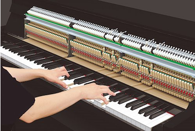 1. 觸鍵經過改良的打擊系統和新的踏板提供更逼真的原聲平台鋼琴體驗
