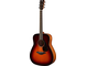FG800 Brown Sunburst Right Front