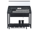 Yamaha Electone ELS-03XR 前視圖