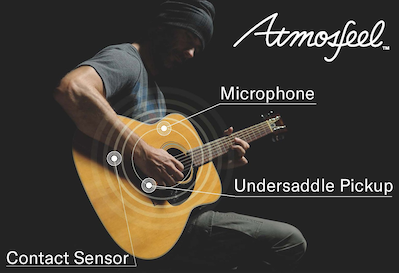 Atmosfeel™ 三段拾音器和前級放大系統