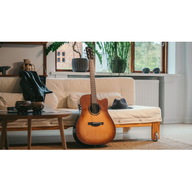 TAG3 C acoustic guitar placed on a sofa with a bag beside it.
