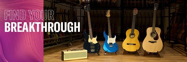 Guitars, Basses, & Amps