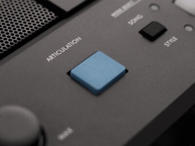 PSR-E483 超擬真按鈕功能圖