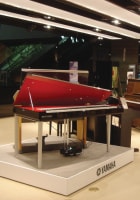 2008年Yamaha暑期樂器展示會
