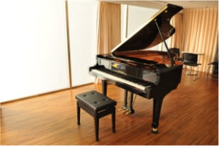 VIP鋼琴試奏室(Yamaha CFIIIS & S6雙鋼琴練琴室)、小型音樂會舉辦場地與專業鋼琴調音技師服務(全天10：00~19：00專人服務)等，絕對可以滿足鋼琴音樂家們各種專業且多樣化的需求。